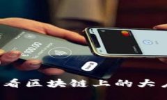 如何查看区块链上的大户钱包？