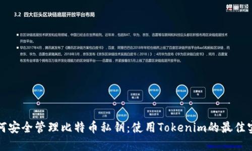 如何安全管理比特币私钥：使用Tokenim的最佳实践