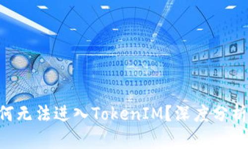 ETC为何无法进入TokenIM？深度分析与解答